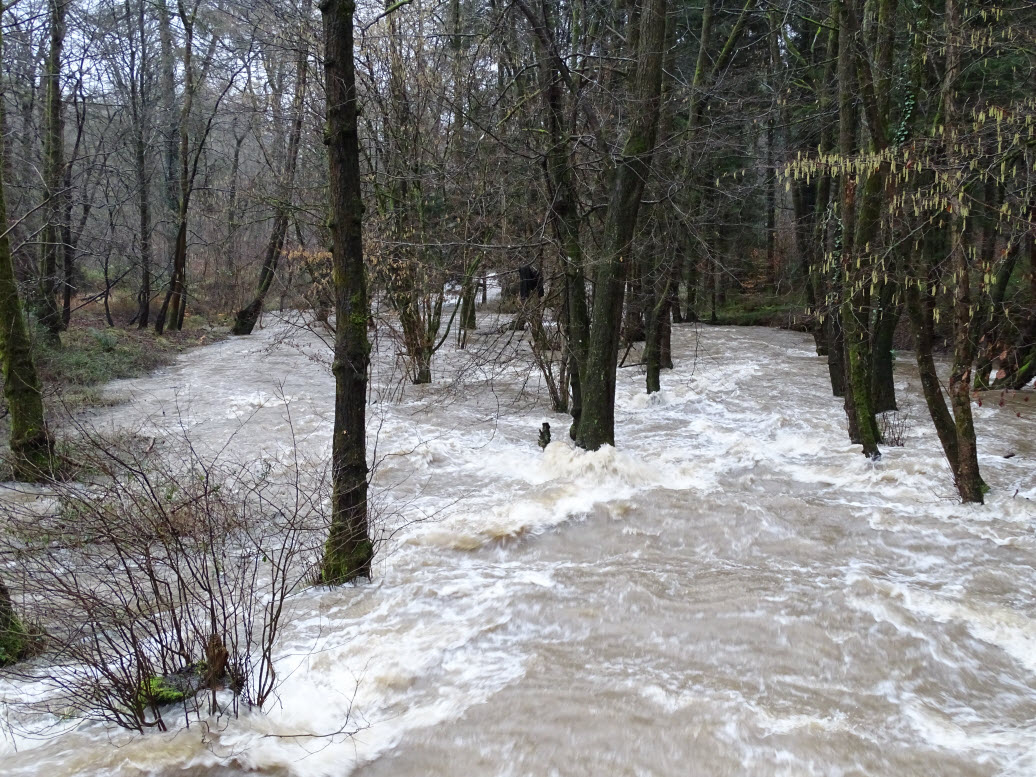 castlemainmill's tweet photo. Parkend was flooded with #StormDennis and at one point 3 of the 4 roads out of the village were closed. All clear now and water levels receding. The River Wye is now badly affected and our thoughts are with our neighbours as they deal with this dangerous situation.#forestofdean https://t.co/nRs6iQzkR1