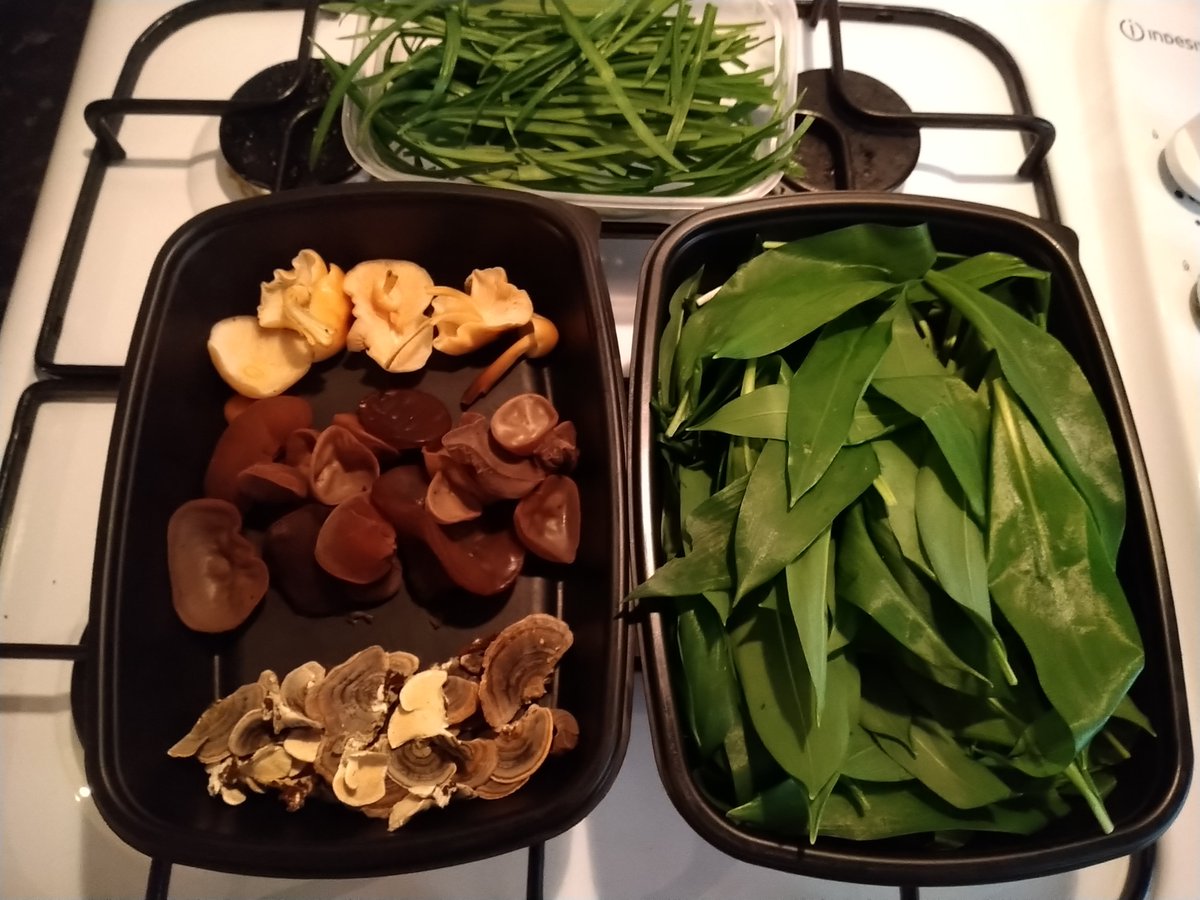TheNottsForager's tweet photo. Foraging my not be the first thing you think of when you mention Aspley.

Maybe it should!

🍄 🌿

#NottinghamForager #Nottingham #Notts #wildfood #foraging #urbanforager #urbanforaging #mushrooms #mushroom #fungus #fungi #365dayswild #mynottingham #myaspley #Aspley https://t.co/TKa3lrJy4K