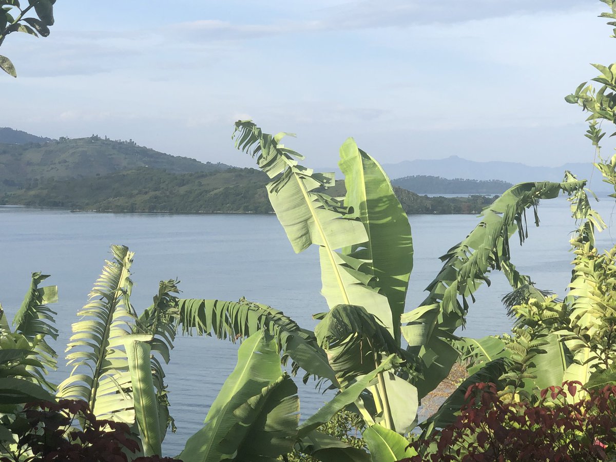 EverJen's tweet photo. Such a lovely view of Lake Kivu doing my #insanity max interval plyometric circuit 👍🏻 no internet here so logging workouts for future posting! #AnkleFusion #HolidayExercise #Rwanda #TrainingDiary https://t.co/ETDNbUDI20