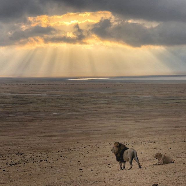 land_rail's tweet photo. Enjoy and experience nature,wildlife ,habit and habitat of the fauna and flora in the natural areas.
https://t.co/yiEeeL6VMb…/4-days-camping-safari-masai-…/
For more information contact us on :+254707521743
Email:landrailsafaris@gmail.com/info@landrailsfaris.com https://t.co/GuVwjBQvsB