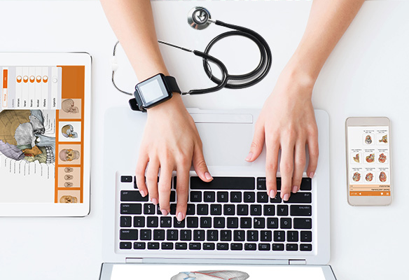LibrarySzeged's tweet photo. 📣 ClinicalKey news again! Brand new medical e-books in the database:
▪️Gray’s Surgical Anatomy 1st ed.
▪️Sobotta Atlas of Anatomy, Vol. 1. 16th ed.
▪️Sobotta Atlas of Anatomy, Vol. 2. 16th ed.
▪️Sobotta Tables of Muscles, Joints and Nerves 2nd ed.
More: https://t.co/BvWgFWe42g https://t.co/niNs8j8KAd
