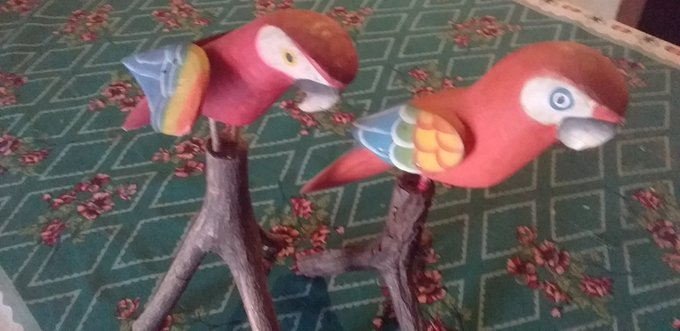 negromangueraa's tweet photo. Mi pana, ven a buscar tus vainas @LinaresRichard 

nisiquiera me dejaste comida y joden mucho, ya me dijeron q no iran a tu casa quitarte nada, quedate con tus guacamayas de mierda, solo no insultes a las mujeres y quedate en instagram porfavor https://t.co/gFF7uGc6Lz