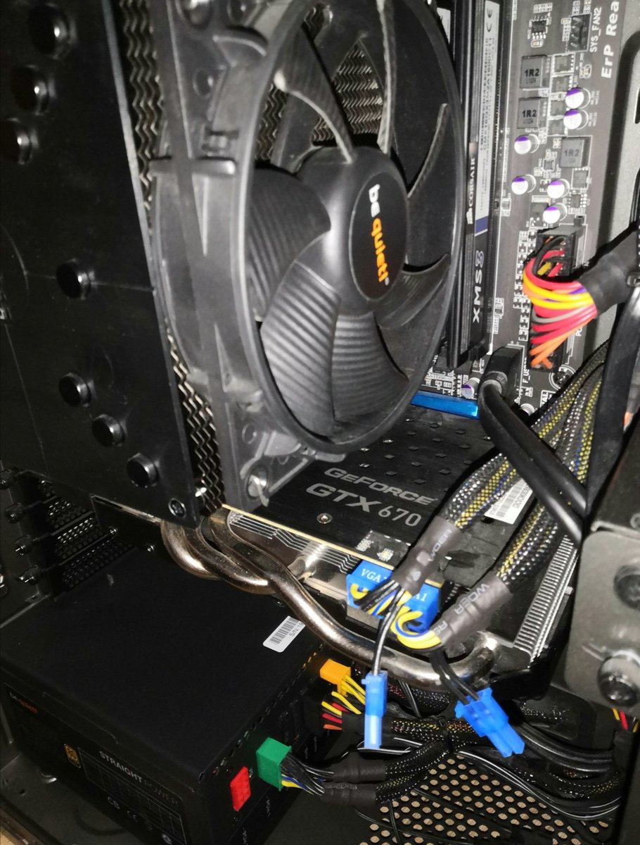 Tempurus tweet media