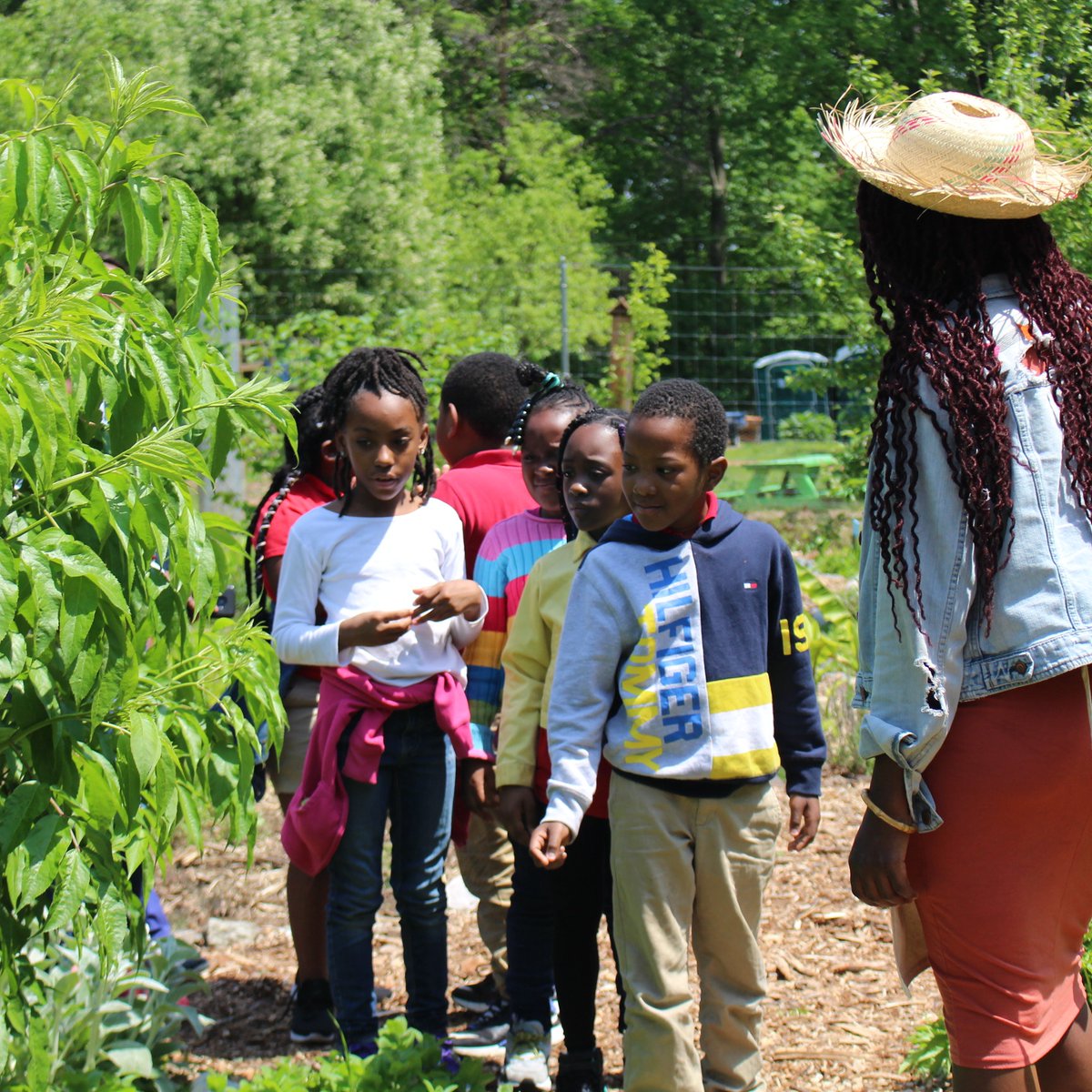 GETTING CURIOUS FACES BACK IN THE GARDEN/ We are so pumped for the upcoming SPROUT season. Seeing faces of wonder and curiosity in the garden is apart of what drives us every day to do the work we do. 
Do you remember your first garden experience?