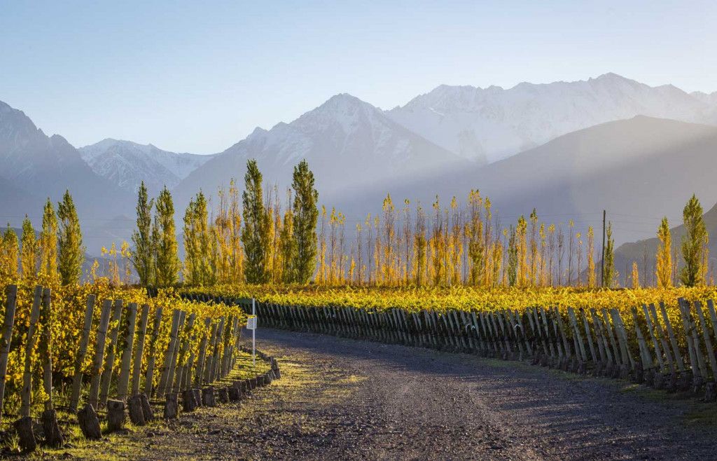 travelhumboldt's tweet photo. In case you missed our luxury hotel of the month for January, here's our blog all about @CasadeUco!

Casa de Uco’s sleek and angular modern design provides a striking contrast to the surrounding countryside. It's one of our favourite hotels in Mendoza!

https://t.co/tIkN8MAJc4 https://t.co/NGBbaTDuq0