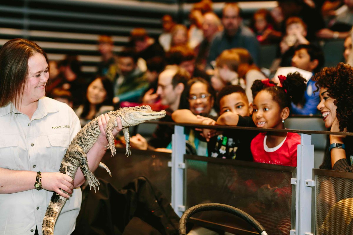 Looking for a LIVE animal demonstration at #KidsWeek today? We have plenty! 
<a href="/Jarodmiller/">Jarod Miller</a> will be in our Lutnick theater in 15 minutes and
<a href="/CTBZoo/">CT's Beardsley Zoo</a> will be taking Hangar 3 stage at 12PM. Learn what else is happening on our schedule: bit.ly/34xUh9M