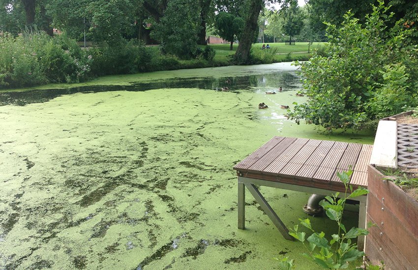 Het kabinet stelt €5 miljard subsidie beschikbaar in de najaarsronde van de Stimuleringsregeling Duurzame Energietransitie. Goed nieuws is dat #aquathermie voor de gebouwde omgeving als nieuwe categorie wordt opgenomen in de regeling. #energietransitie
aquathermie.nl/nieuws/1580025…