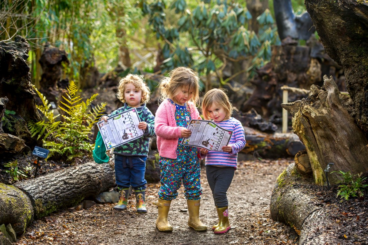 RHSWisley's tweet photo. If you’re looking for half term fun, join us at Wisley for Whatever the Weather themed activities until 23 Feb. Get hands-on with crafts, such as making weather masks, planting workshops, and watch theatre performances this weekend (22 &amp; 23 Feb): https://t.co/qFWD0qAIES https://t.co/B1NNsGcyeC
