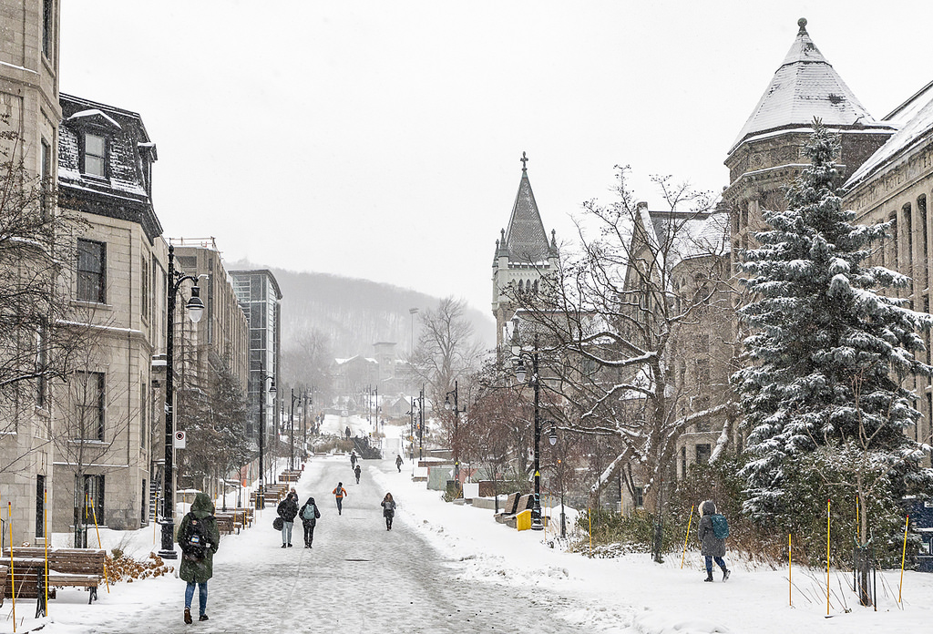 Montreal's tweet photo. McTavish Street looks like it belongs in a fairy tale 🧚‍♀️❄
📷 @evablue @mcgillu 
#MTLmoments #snow #winter #downtown https://t.co/L4K4xVsiBH