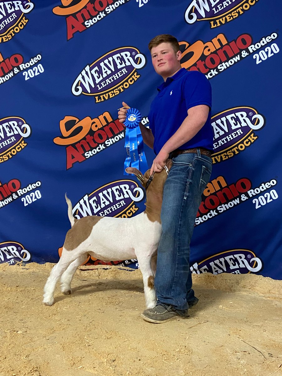#BISDProud of <a href="/CedarCreekHS/">Cedar Creek High</a> student Trey Butts. He won  1st place, with his market goat, at the San Antonio Livestock Show! Winning a blue ribbon, at one of the most competitive livestock shows in the State, is a major milestone. Great job!