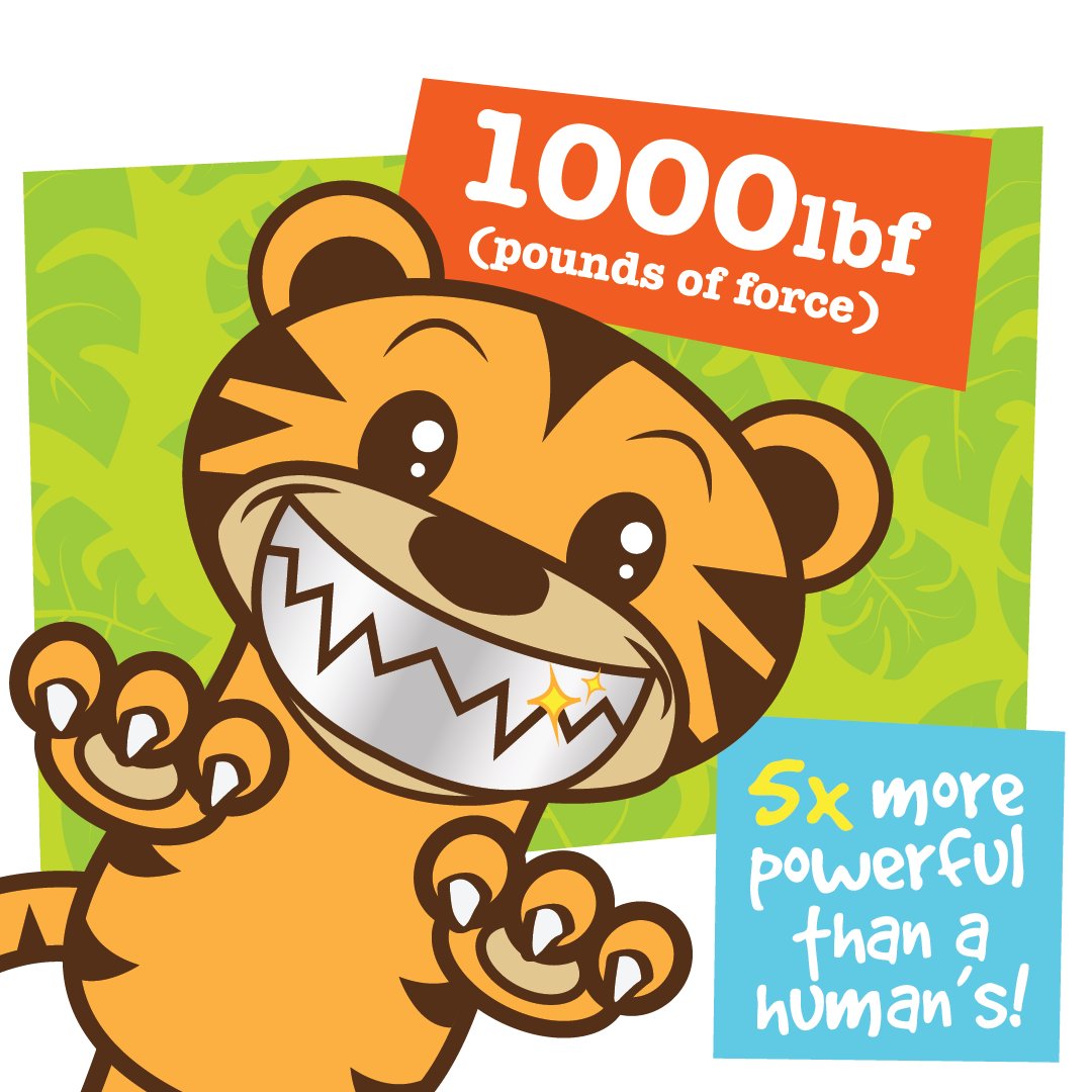 EndangeredExt's tweet photo. Here's some updates from our Instagram feed with fun filled facts about tigers! Follow us for regular updates and visit our site for more info and the store.
#tiger #tigers #lovetigers #sumatrantiger #sumatra #endangeredandextinct #eande #conservation #fundraising #tigerbite https://t.co/52nePtiNx1