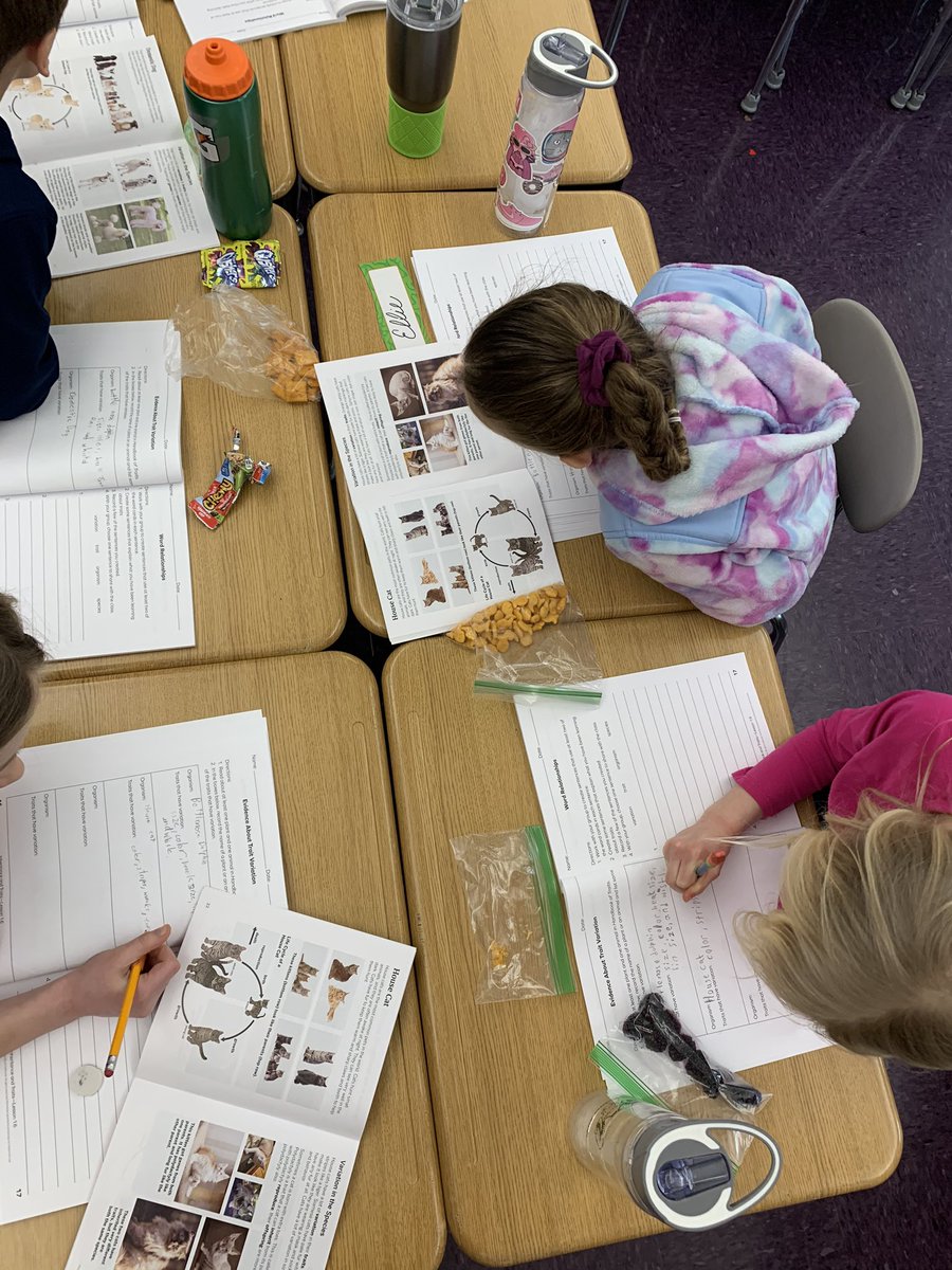 kjustusPRRams tweet media