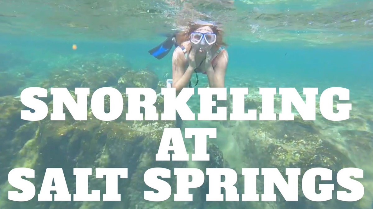 Snorkeling Salt Springs in the Ocala National Forest Florida howwefindhappy.com/snorkeling-sal…
@NationalForests
@NFinFlorida
 #VisitFlorida #PureFlorida