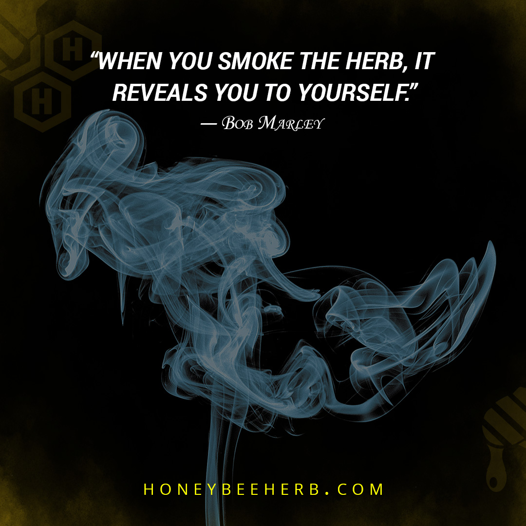 Honeybee_Herb's tweet photo. “When you smoke the herb, it reveals you to yourself.”  ― Bob Marley

#honeybeeherb #cannabis #quartzbanger #quartzbangers #headshop #vapeshop #bongs #marijuana #cbd #dabs #dabsrus #herb #highlife #quartz #smokingpipe https://t.co/RucAm37Qew
