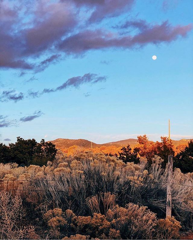 Those tones tho...😍 Thanks <a href="/readasaurus_rex/">Courtney Anne</a> for always finding the gems. 🥰 #simplysantafe bit.ly/2P5nioz