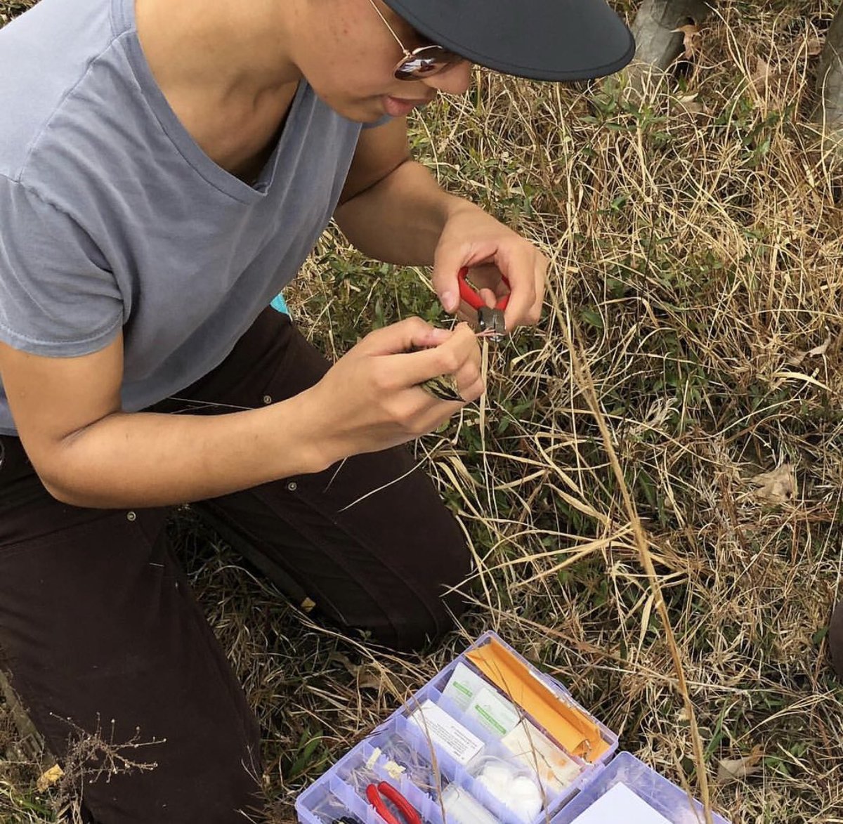 hood_naturalist's tweet photo. To all my new followers, THANK YOU SO MUCH for being here!!!! A lil intro:

My work has focused on zoo science, conservation education, and studying BIRDS!

As a Black woman, all of these efforts are rooted in dismantling the systems that have kept people like me out this field. https://t.co/YPhVBBzSEd