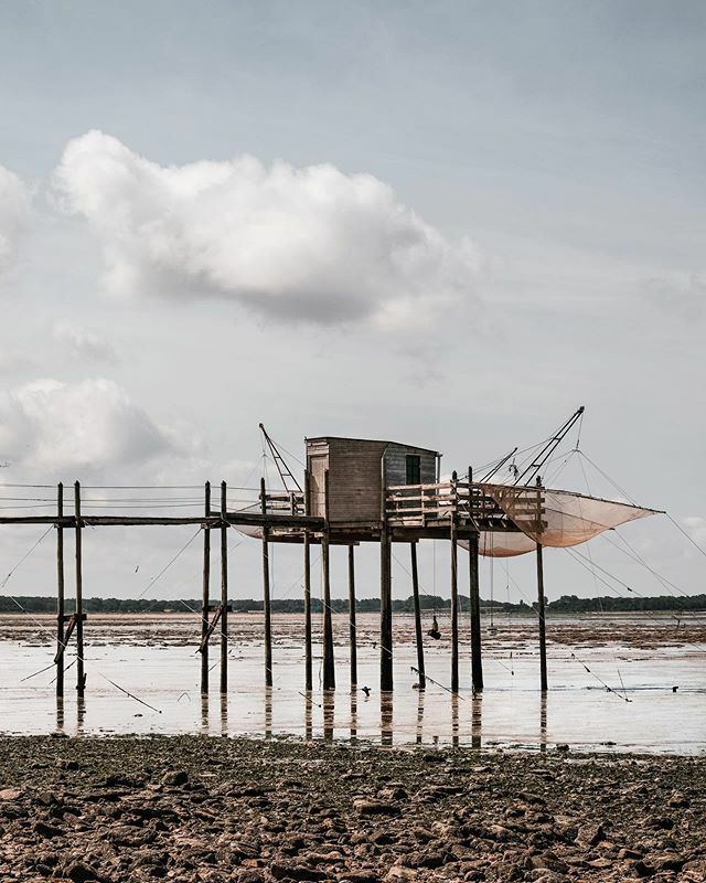 Simone Wittgen tweet media