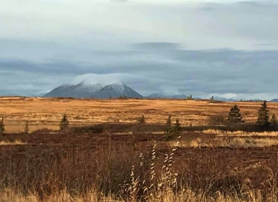 ArcticImo's tweet photo. New Blog from @SenatorSalmon of @foe_us at #IMOArcticSummit: For Arctic Indigenous people, is Foresight 2020? https://t.co/rrAR8ZmV9H #ppr7 https://t.co/SUNMwAxsMw