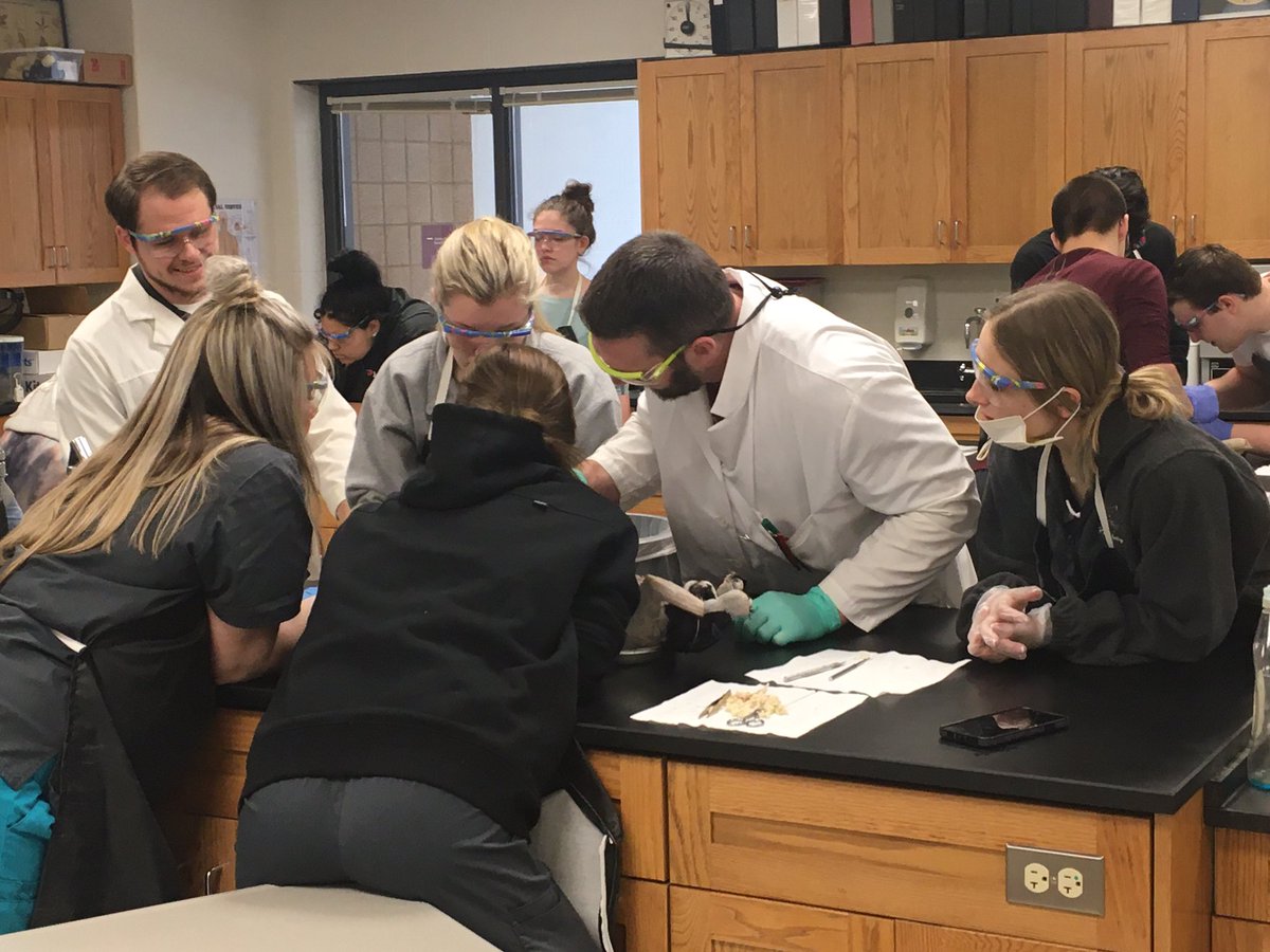 GrishamRHS's tweet photo. Dr. Peterson’s A&amp;P classes are knee deep into dissection of cats!! #RollaBulldogs https://t.co/95iaBXKldT