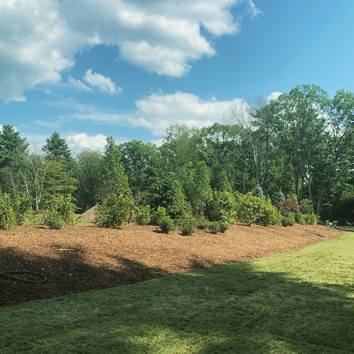 Some green from this past Summer to brighten up your Winter days!

#MA #Landscaping #Mass #Millis #Hardscaping