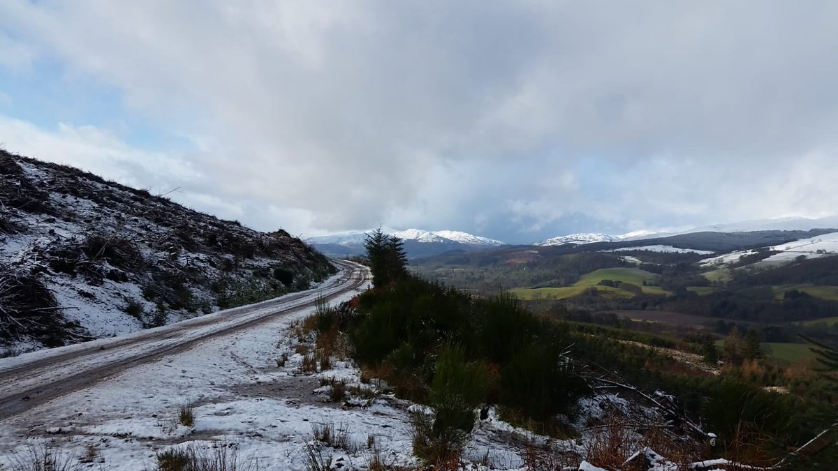 PKCTrust's tweet photo. 47 threatened #conifers planted &amp; GPSed in #Perthshire #BigTreeCountry today despite the #snow 🌲❄️👍 
Thank you so much to our Lithuanian &amp; Polish planters in Rab's team + Jane at @scotwoodlands. Home to warm up now. #coniferconservation @CrieffHydro @RBGE_ICCP @TheBotanics https://t.co/iGo2qrAWf3