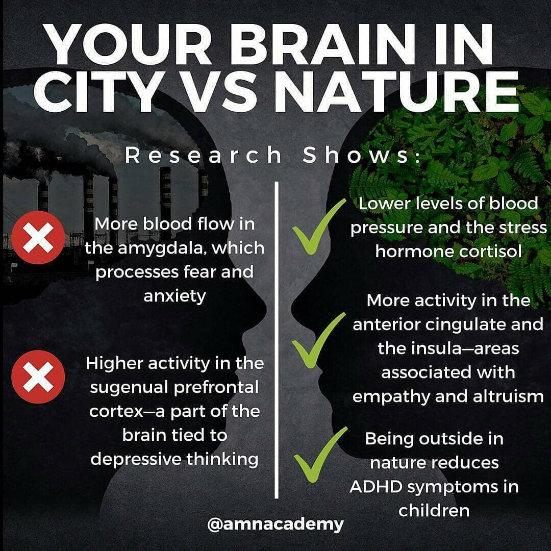 Be A Brain Owner tweet media