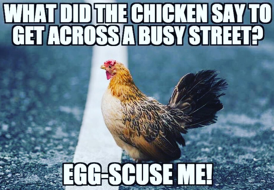QCP_Official's tweet photo. Come at us with your best chicken joke!

Hungry? Visit us and see what makes us worth it 🍗 
Open today from 11:30-8pm.
.
.
.
#quickchickenpickup #guelph #supportlocalguelph #locallyowned #guelphlocal #guelphlocalbusiness #guelphlocalrestaurant #guelpheats #guelphlife #uofg https://t.co/4uvjciG7qm