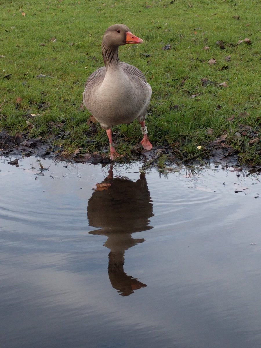 Debbie P tweet media