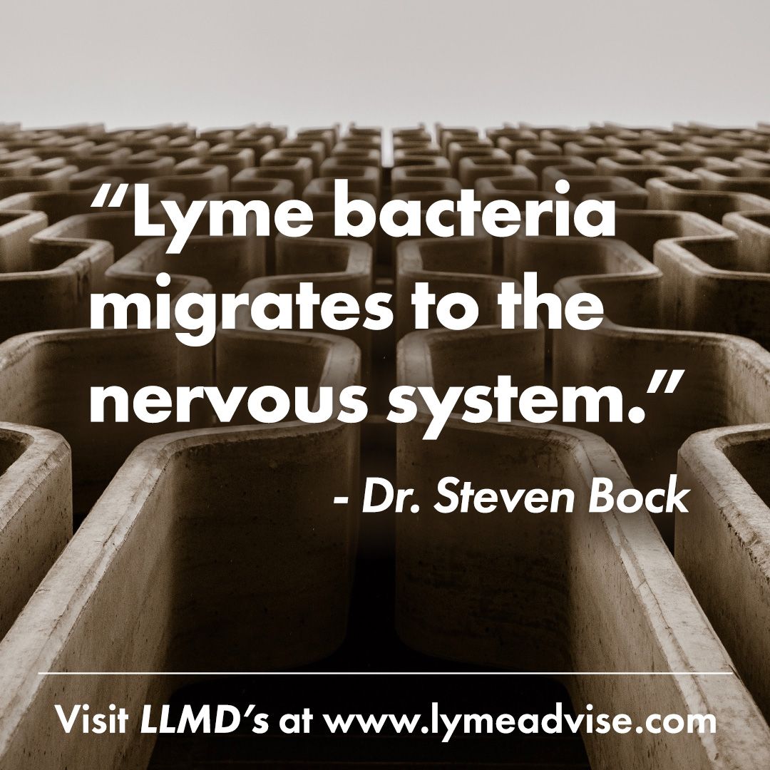 Dr Bock discusses lyme disease that enters the central nervous system as well as diagnosis and treatment of co-infections such as Babesia and Bartonella. 

Watch here ----> buff.ly/3bjTqhJ

#lymeadvise #lyme #lymedisease #babesia #bartonella #tickdisease #lymewarrior