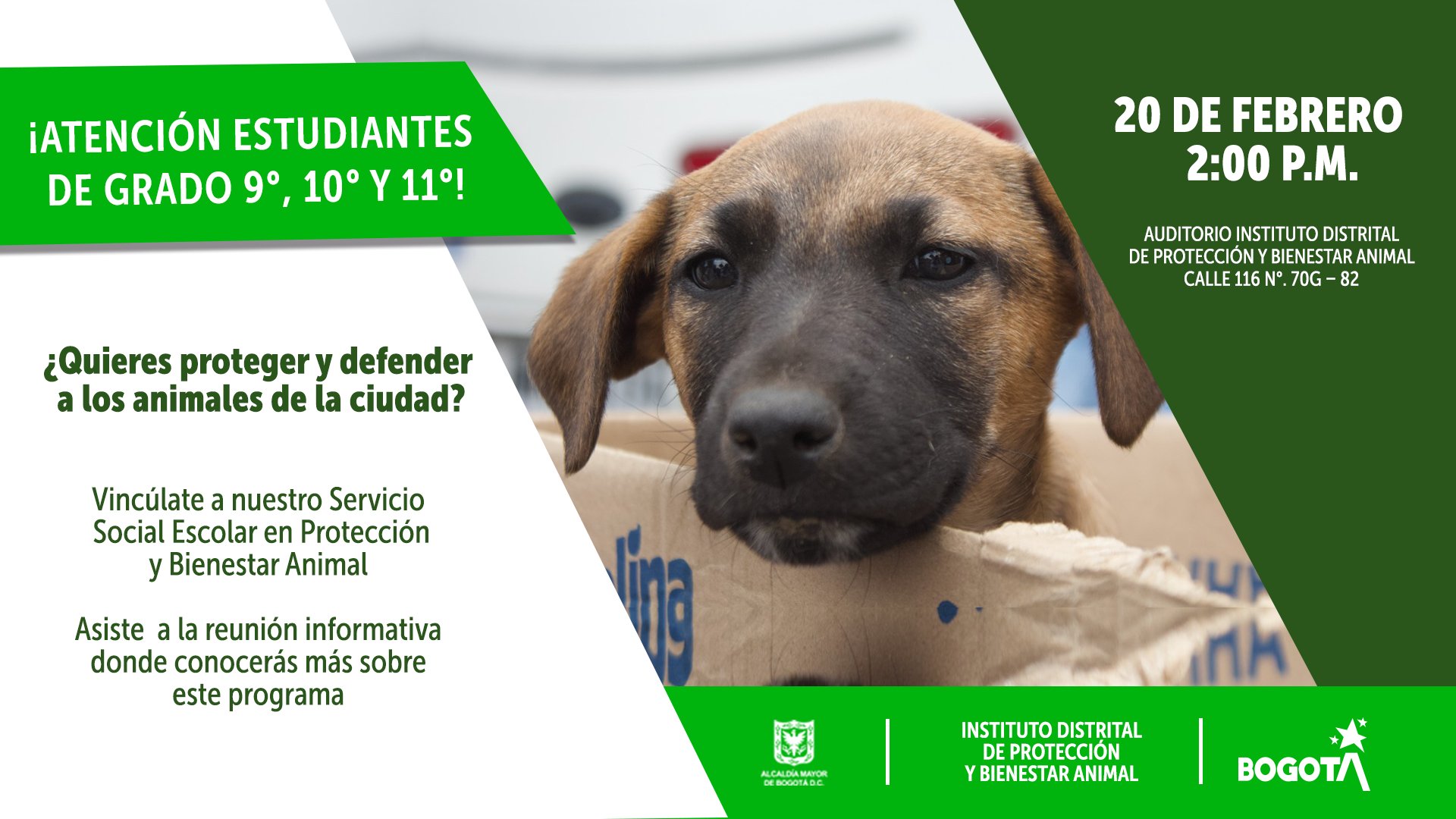 Protección Animal Bogotá в Twitter: „¿Eres estudiante de grado 9°, 10° u 11°? Asiste a la reunión informativa sobre el servicio social estudiantil en favor de los animales.???????? ???? Jueves 20 de Protección Animal Bogotá в Twitter: „¿Eres estudiante de grado 9°, 10° u 11°? Asiste a la reunión informativa sobre el servicio social estudiantil en favor de los animales.???????? ???? Jueves 20 de