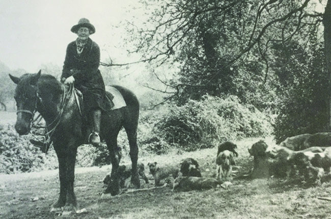 Aleen Cust. Ireland's 1st female vet. 1868-1937. Changed from nursing to vet training; family unhappy & she had to pay her own fees! Not allowed to sit final exams but worked as assistant in Roscommon & PT Vet Inspector in Co Galway! When vet died took over!  @theRCVS recognised!
