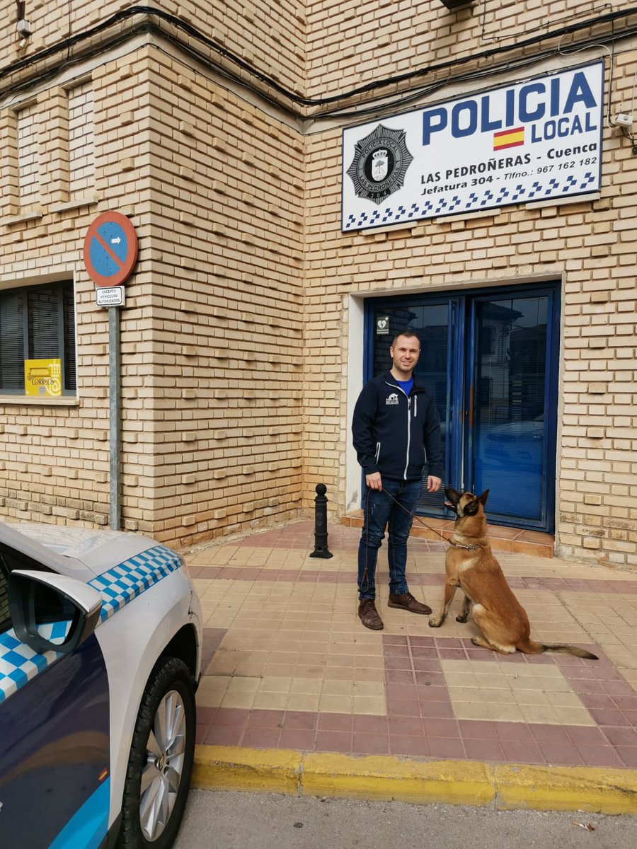 LapaMarcaje's tweet photo. #segundaoportunidad el nuevo inicio de vida #K9BLADE acaba de llegar a 🏠 @AytoPedroneras 🐺👮 @CD_Pedroneras @Pedroneras @protepedroneras @112clm @CMM_es @gobjccm @Mancha_Media https://t.co/X6qLZO1yoA