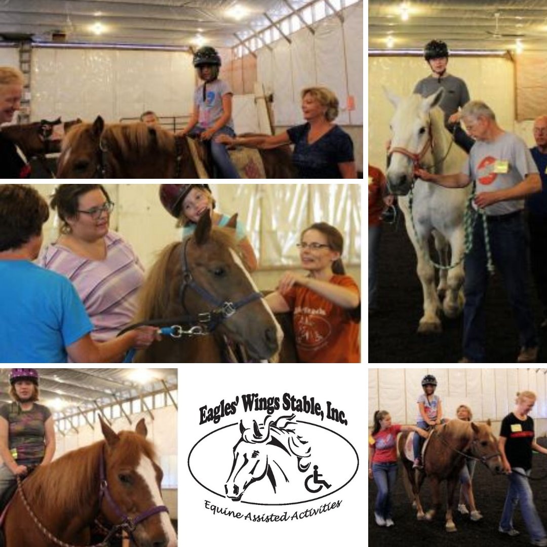 UnitedWayMCO's tweet photo. Agency of the Week Eagles' Wings Stable, Inc. connect people with horses in a special way.  Participants develop balance, strength, stability, social, emotional &amp; cognitive skills that enrich their daily lives
Watch these testimonials from similar programs https://t.co/1332kCGApB https://t.co/tOkAGcgtDx