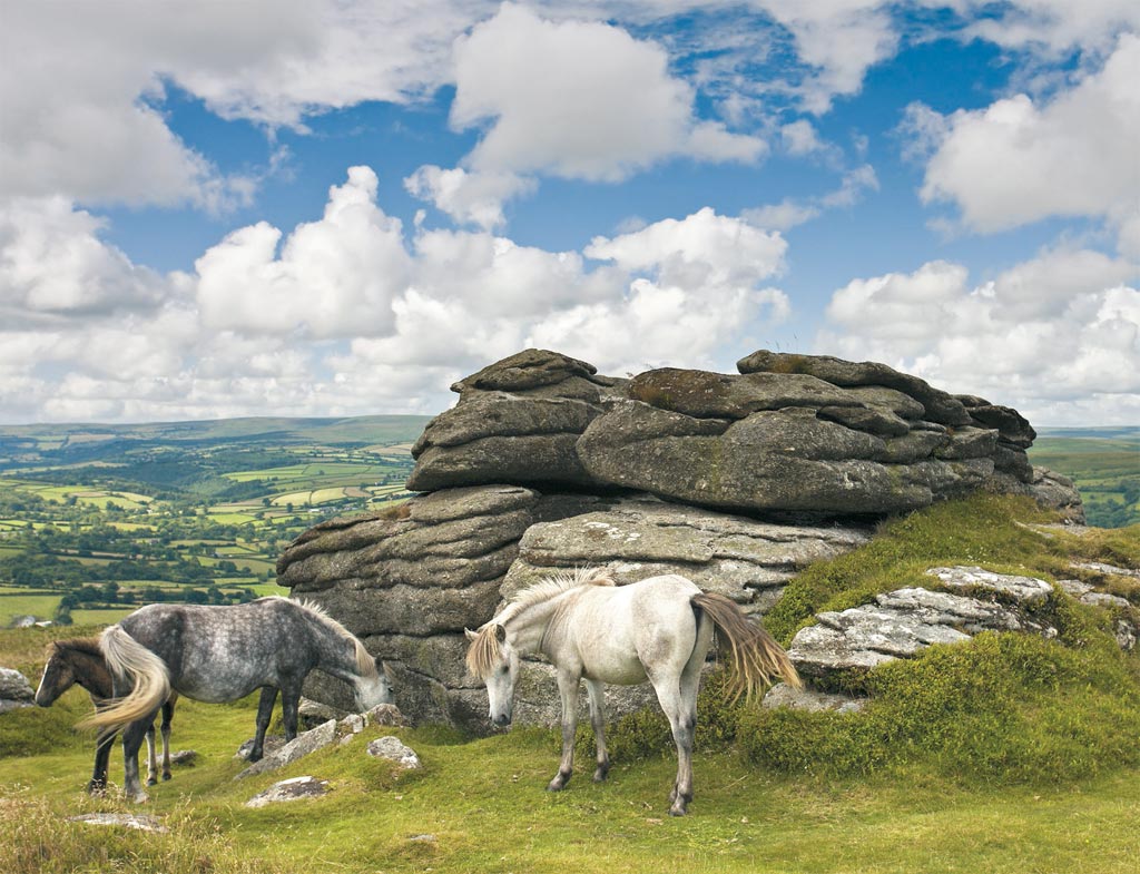 WMN Farming (@wmnfarming) on Twitter photo Chance to have your say on #Dartmoor's future: devonlive.com/news/devon-new… <a href="/dartmoornpa/">Dartmoor National Park</a> <a href="/Dartmoor_Hour/">DartmoorHour</a> <a href="/GoDartmoor/">DartmoorNationalPark</a> <a href="/VisitDartmoor/">VisitDartmoor</a> #Devon #agriculture #farming #countryside #nature #wildlife #haveyoursay Chance to have your say on #Dartmoor's future: devonlive.com/news/devon-new… <a href="/dartmoornpa/">Dartmoor National Park</a> <a href="/Dartmoor_Hour/">DartmoorHour</a> <a href="/GoDartmoor/">DartmoorNationalPark</a> <a href="/VisitDartmoor/">VisitDartmoor</a> #Devon #agriculture #farming #countryside #nature #wildlife #haveyoursay