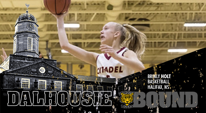 Dal Tigers tweet media