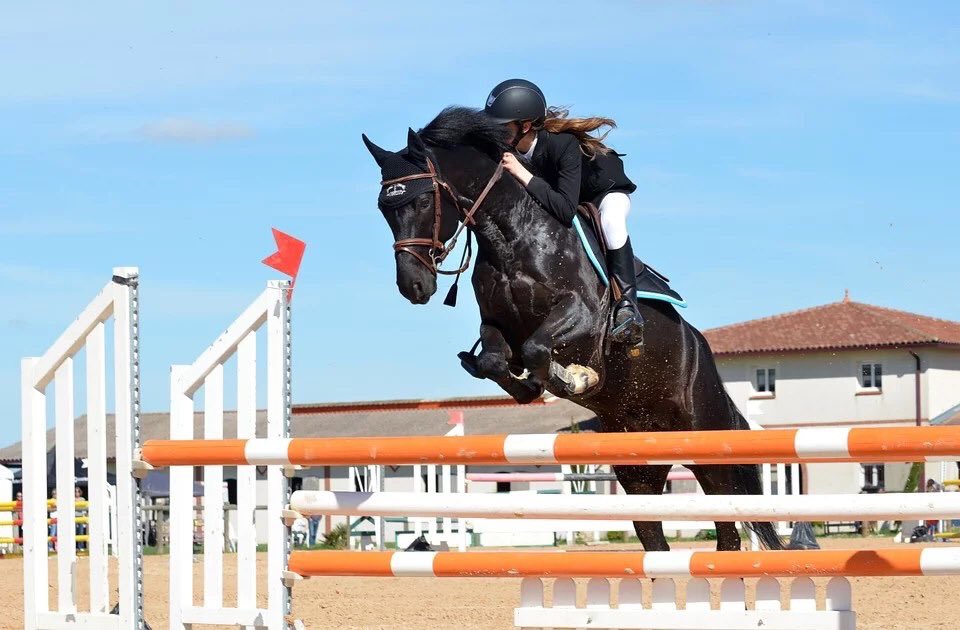MatthiasEichhor's tweet photo. Saltisept - the future of hygiene! In der Turniersaison bestens unterwegs. Keine Karenzzeit! Saltisept Horse - die Wundpflege.
Jetzt profitieren:
https://t.co/A8G20CWlDn #Herzenspferd #Reitsport #Saltisept #Springpferd #Pferdesport https://t.co/3Y9wDCfLJn