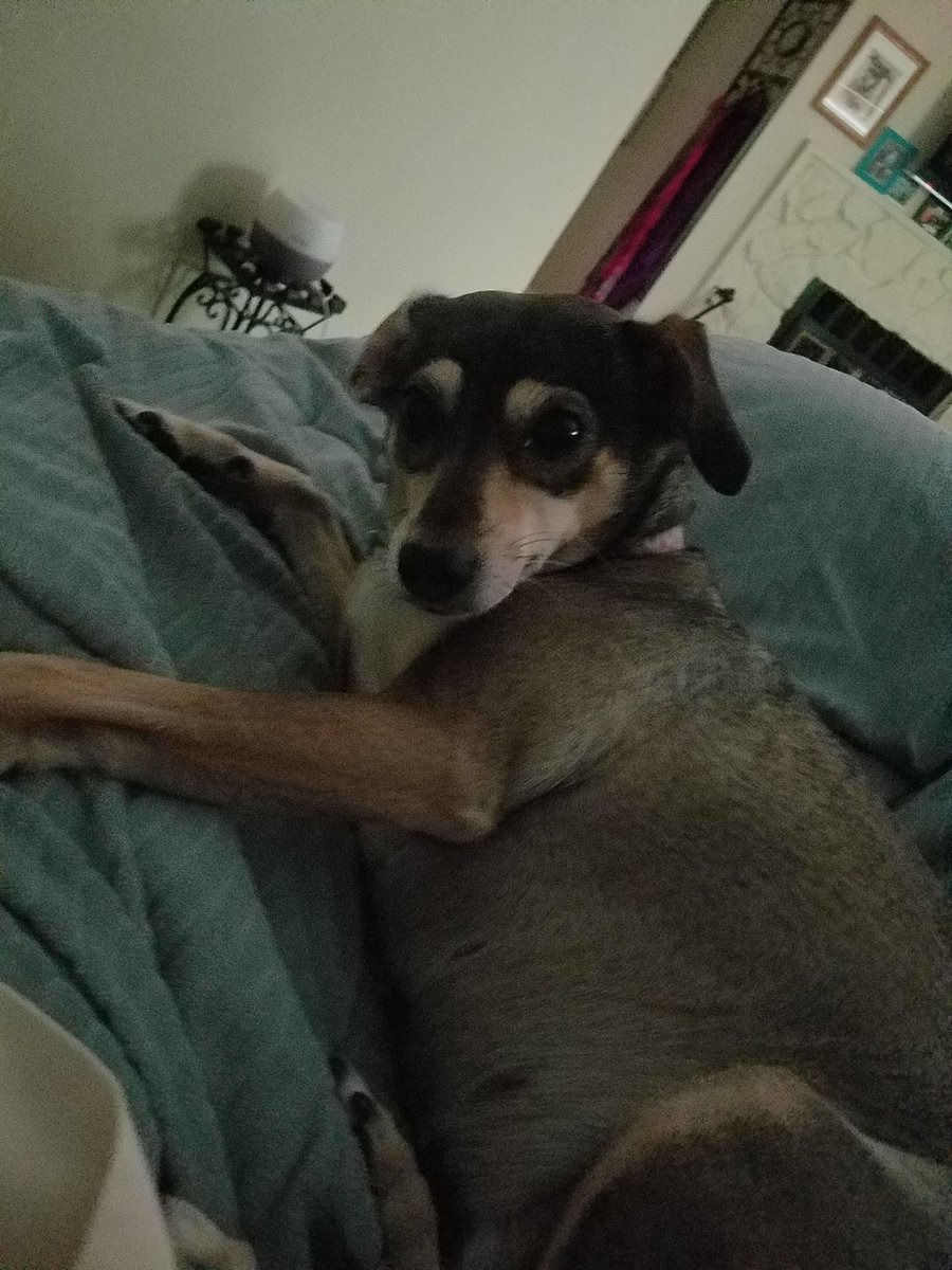 BobWindholz3's tweet photo. @madisongesiotto Adopt lovers https://t.co/oXGndtjG3Y