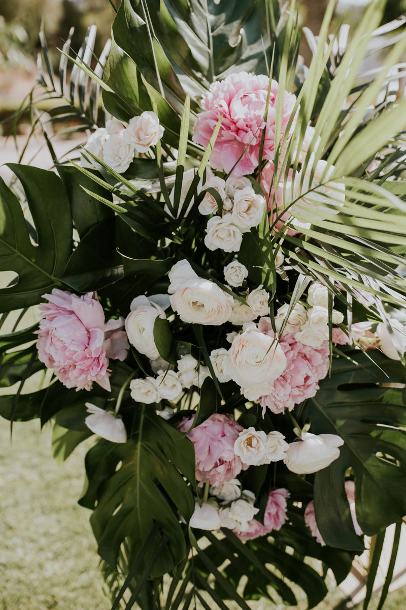 ArtisanEvent's tweet photo. Tropical Vibes🌸 https://t.co/pPYnIwdDvr  
@renaissanceesmeralda @aubreelynnphoto https://t.co/N7xABvH7Qf