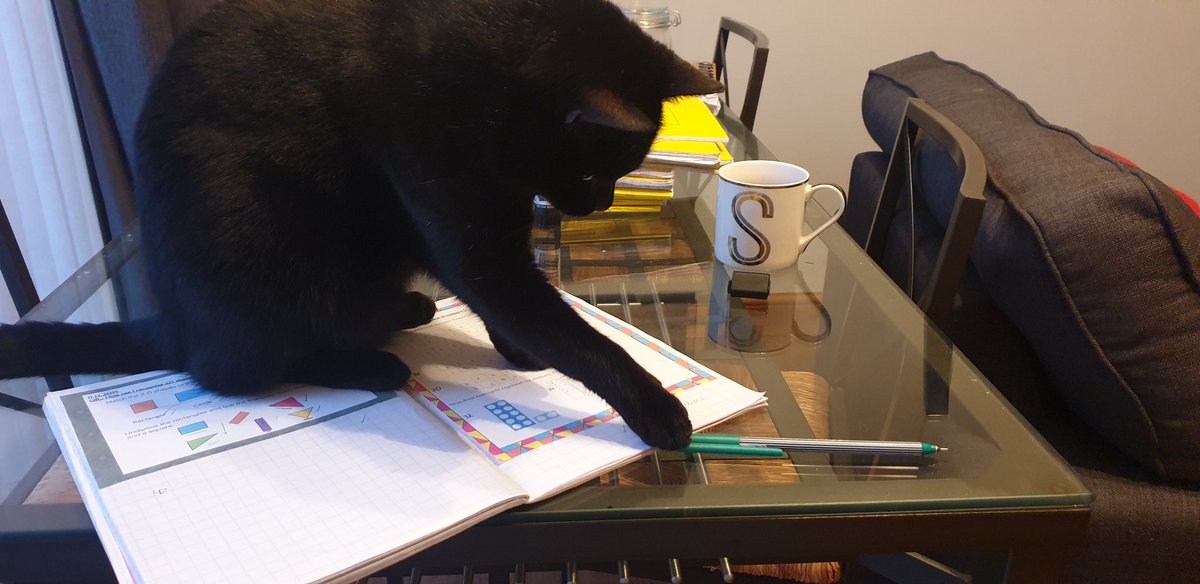 MrRichards_KS1's tweet photo. Marking books during half term is more difficult... #newTA https://t.co/uH2xu1x4t2