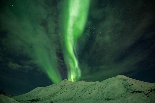 17th of February. The forecasts for space weather and weather on Earth were precise, allowing us to show beautiful Aurora displays to our guests. #travel #tromso #aurora #northernlights #mountains ift.tt/2SE9Ee9