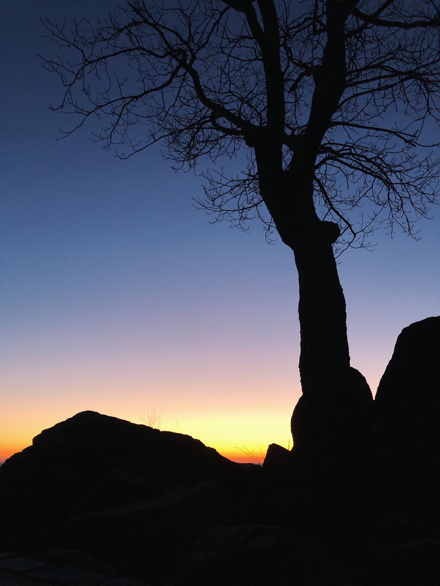 tamaraa0113's tweet photo. took a lil adventure this past weekend 🌄 https://t.co/j8IwxoaUbv