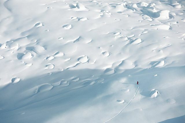 Ski❄Service❄Verbier tweet media