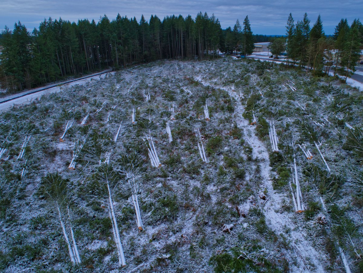 Soon to be home to the Circuit of the Northwest. Who's ready?! #CNW #motorsports