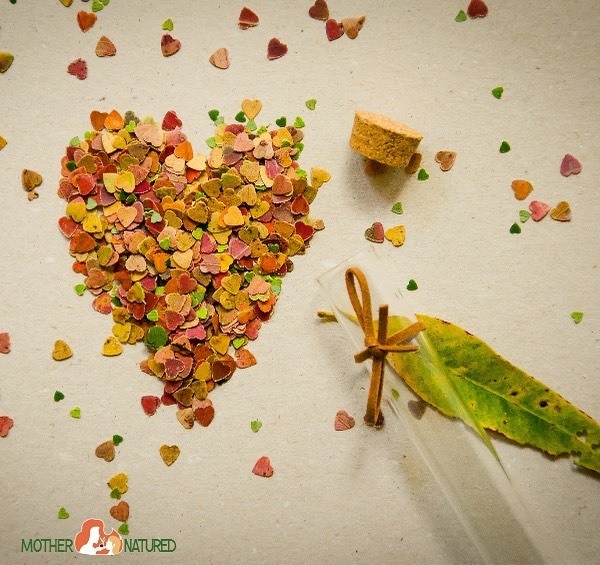 Tournerbury (@tournerbury) on Twitter photo We’ve all heard of using dried flowers for confetti, but what about confetti made from leaves? 🌿
Eco-friendly, easy to make and so beautiful, we LOVE this idea from <a href="/mothernatured/">Mother Natured</a> 🍂
Find the blog post in our bio! ift.tt/2P4m6BQ We’ve all heard of using dried flowers for confetti, but what about confetti made from leaves? 🌿
Eco-friendly, easy to make and so beautiful, we LOVE this idea from <a href="/mothernatured/">Mother Natured</a> 🍂
Find the blog post in our bio! ift.tt/2P4m6BQ