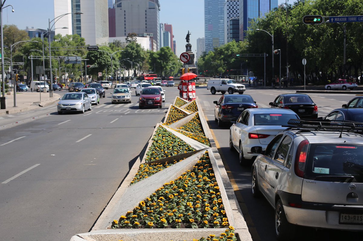 visitingmexico's tweet photo. El Paseo de la Reforma se convirtió en un campo de girasoles que llega hasta el Monumento a la Madre 🌻#VanGoghAliveMX https://t.co/X5OCcKJ6tI