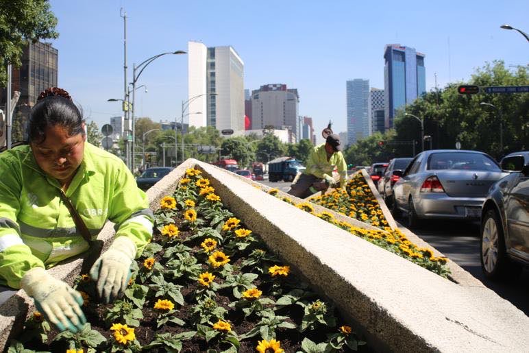 visitingmexico's tweet photo. El Paseo de la Reforma se convirtió en un campo de girasoles que llega hasta el Monumento a la Madre 🌻#VanGoghAliveMX https://t.co/X5OCcKJ6tI