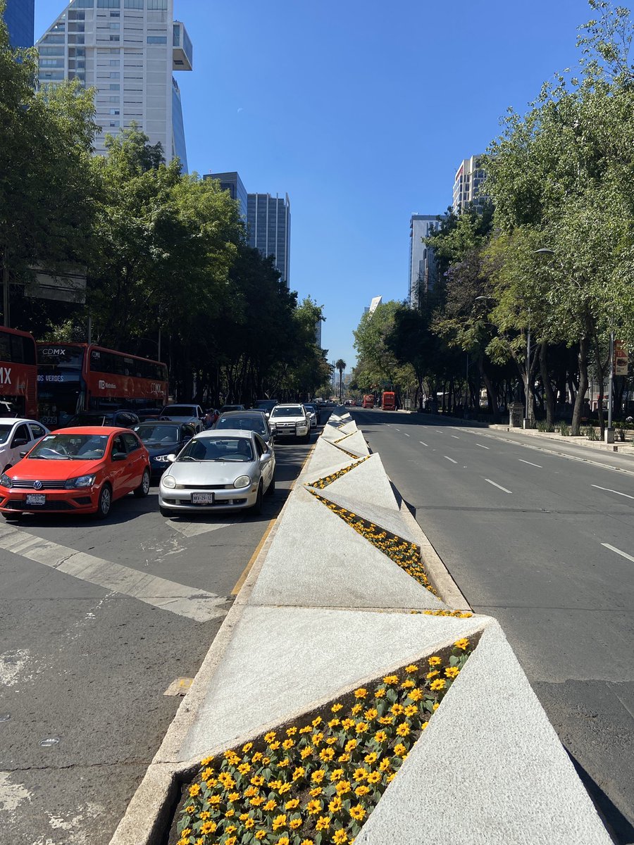 visitingmexico's tweet photo. El Paseo de la Reforma se convirtió en un campo de girasoles que llega hasta el Monumento a la Madre 🌻#VanGoghAliveMX https://t.co/X5OCcKJ6tI