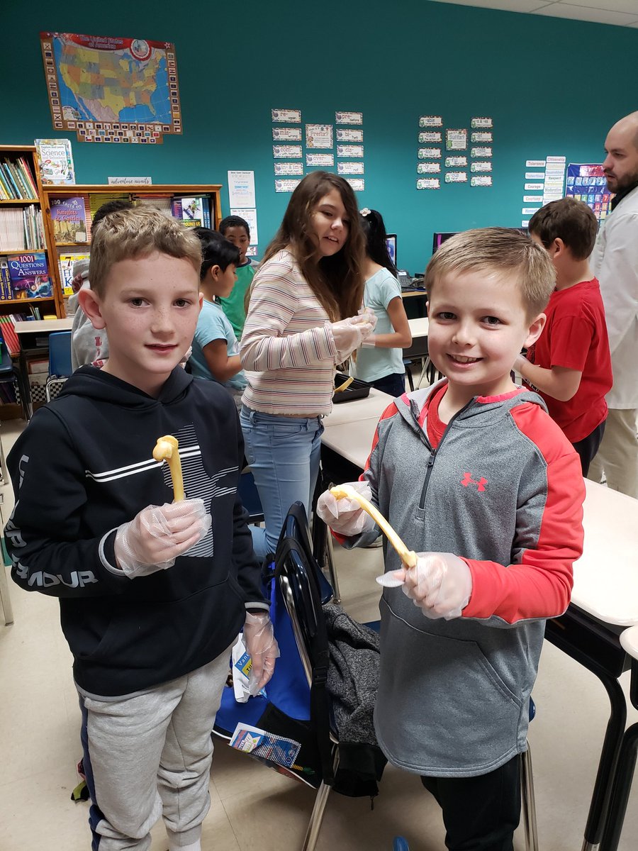 goelway7's tweet photo. ScienceFun hands on field trip came to @sfletch 3rd grade classes at Aycock today. They got to do reflex and mind activities and handle bones, hearts, kidneys, eyeballs of animals. It was so interesting ! @AYCOCKSCHOOL @VanceCoSchools @ScienceFunSFFE https://t.co/avfMloxwIo
