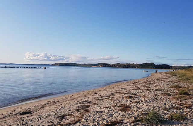 UrlaubThiessow's tweet photo. Blick Richtung #kleinzicker
#thiessow #ruegen #ostsee #ostseeliebe #ammeer #ostseeküste #inselruegen #reisen #travel #ferienhaus #ferienwohnung #travelgram #urlaub #strand https://t.co/bXIJTGYSuS https://t.co/PEd7q1KvFK