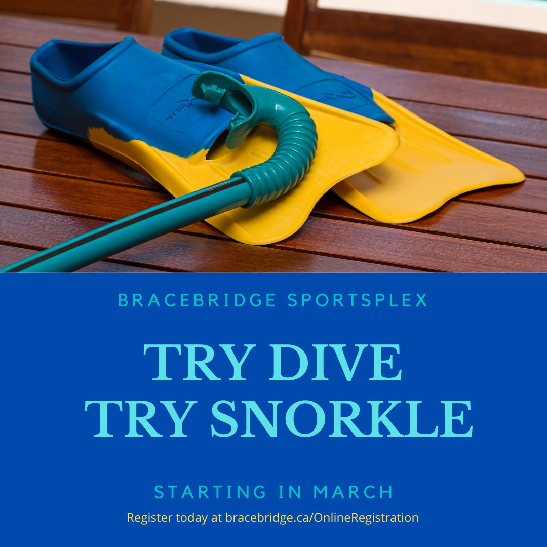 Bracebridge Rec tweet media